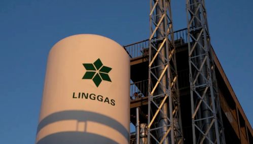 綠菱氣體年產(chǎn)1萬噸高純電子特氣項(xiàng)目技術(shù)服務(wù)公示